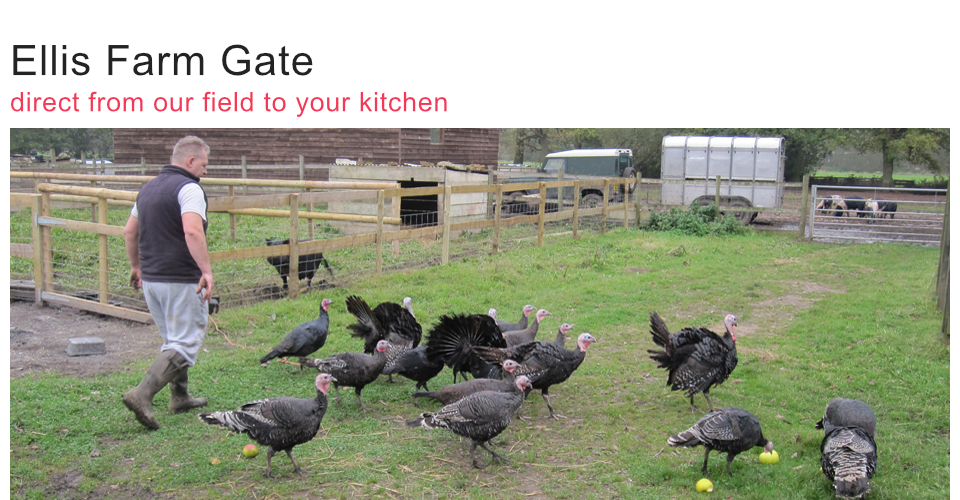 ellis farm gate header